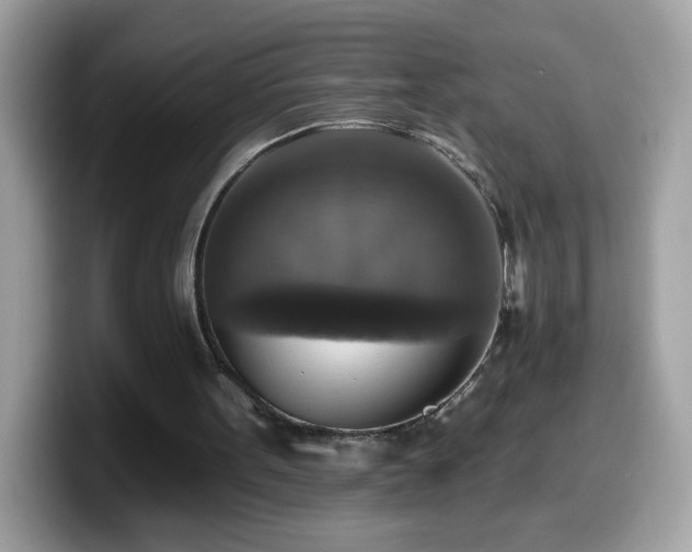 X0000099950099200805301243