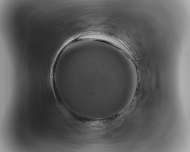 X0000099950100200805301243