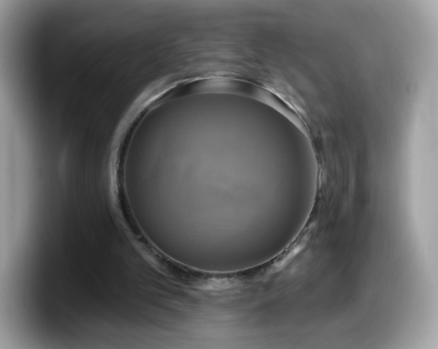 X0000099950101200805301243