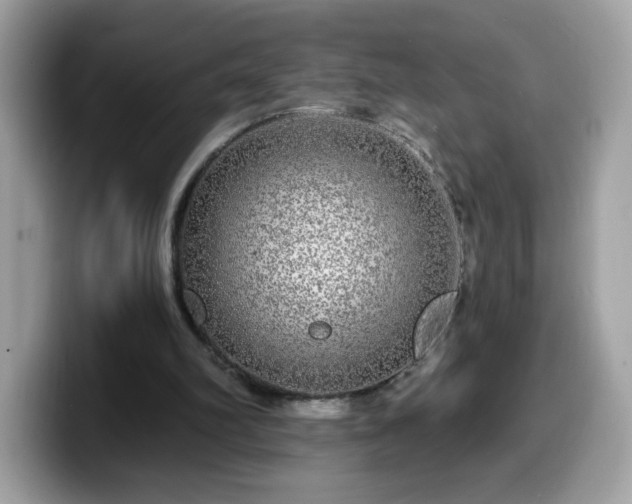 X0000099950102200805301243