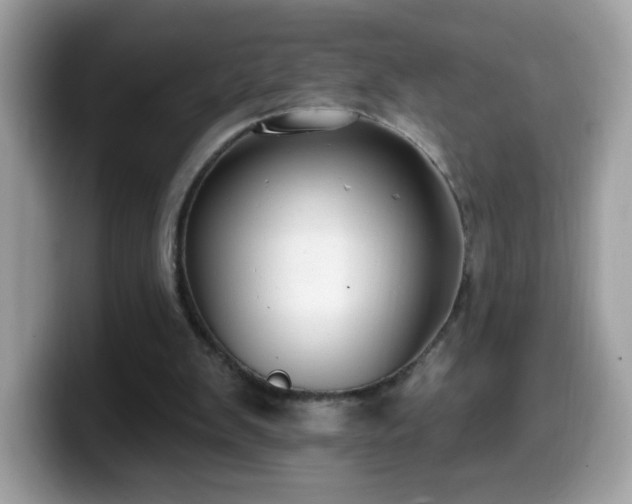 X0000099950103200805301243