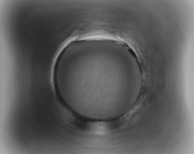 X0000099950104200805301243