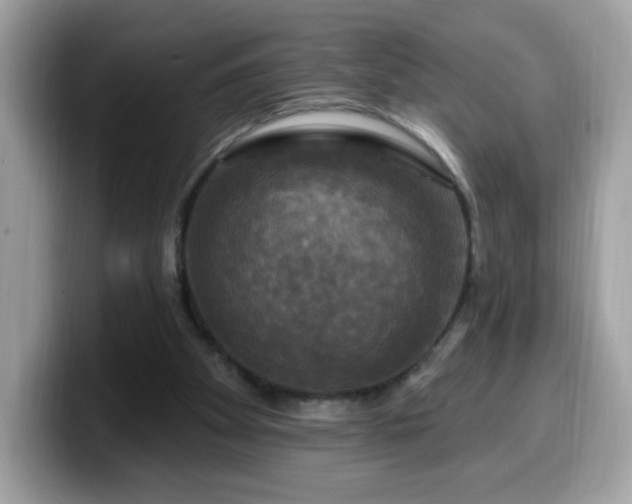 X0000099950105200805301243
