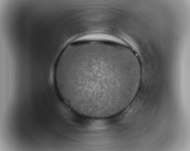 X0000099950107200805301243