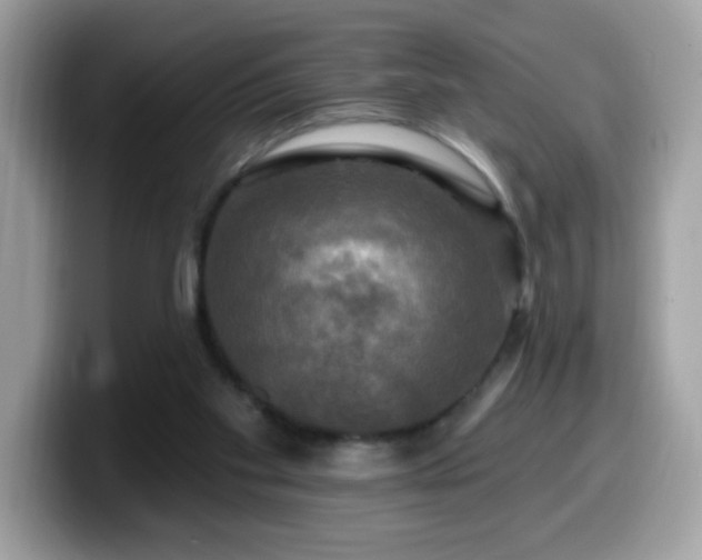 X0000099950109200805301243