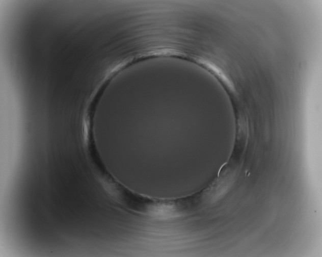 X0000099950110200805301243