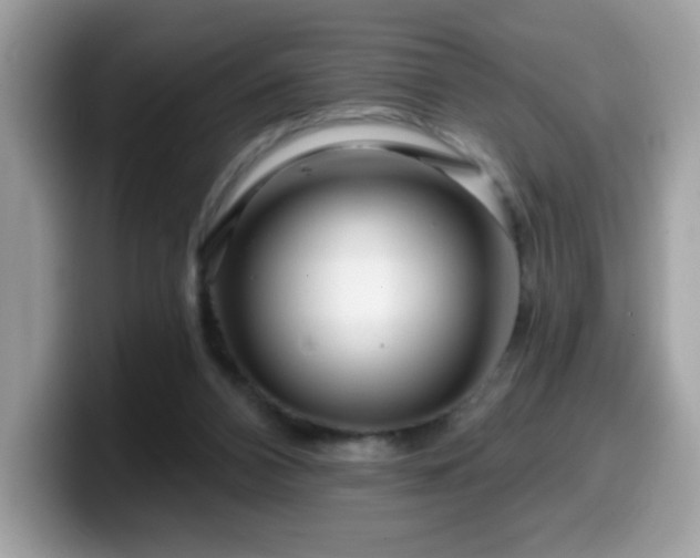 X0000099950112200805301243