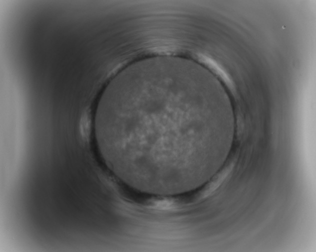 X0000099950113200805301243