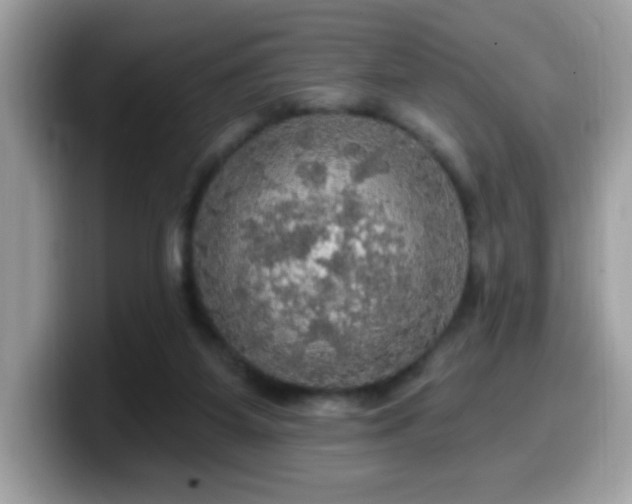 X0000099950115200805301243