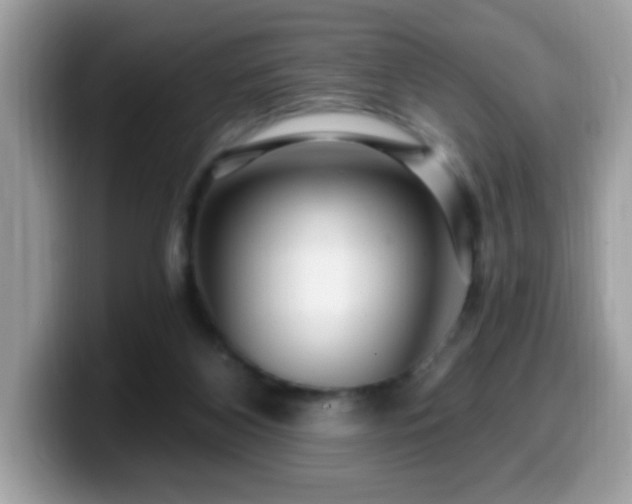 X0000099950116200805301243