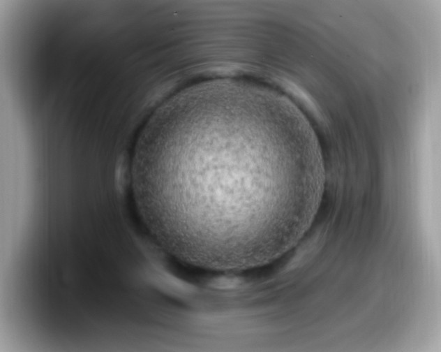 X0000099950119200805301243