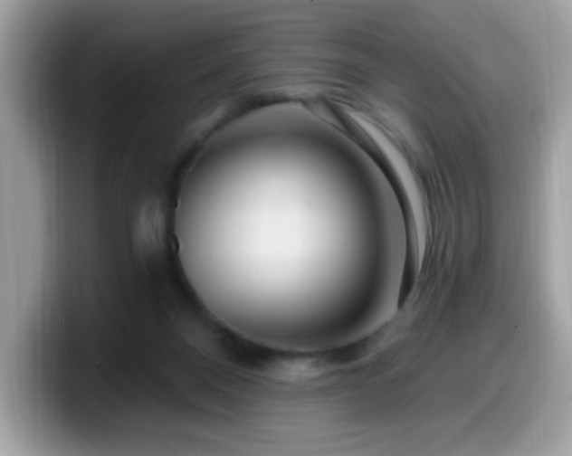 X0000099950120200805301243
