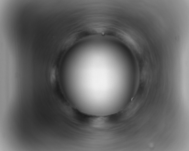 X0000099950122200805301243