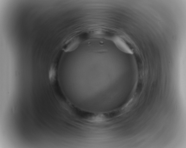 X0000099950124200805301243