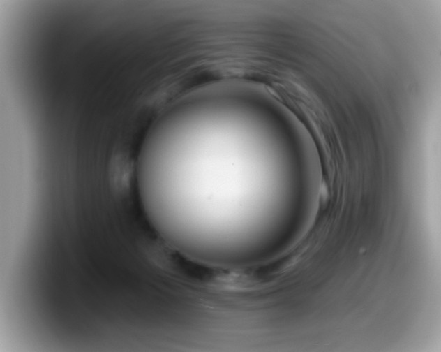 X0000099950125200805301243