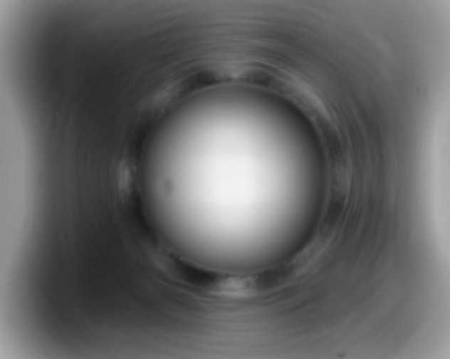 X0000099950126200805301243