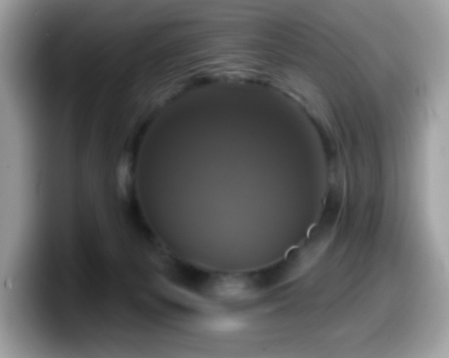 X0000099950127200805301243