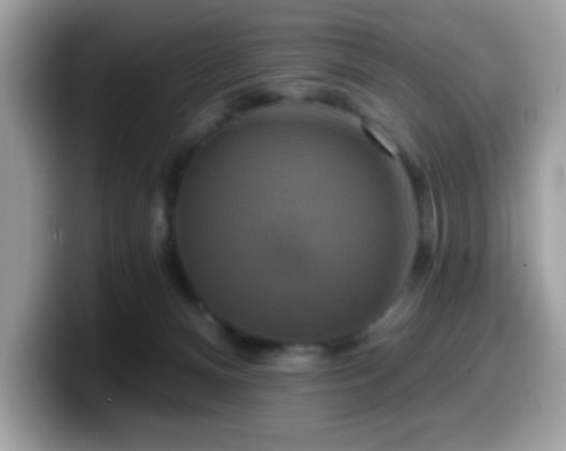 X0000099950128200805301243