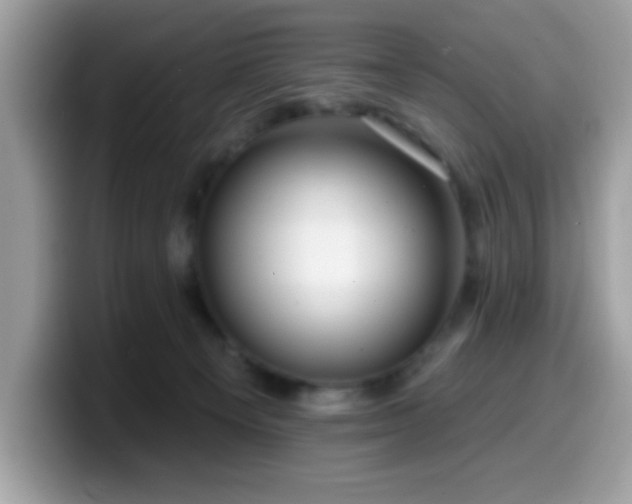 X0000099950129200805301243