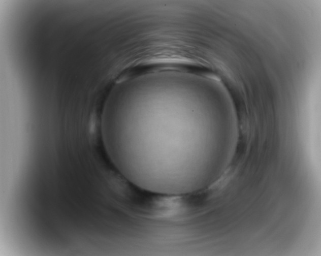 X0000099950132200805301243