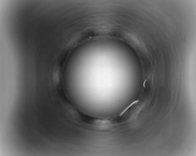 X0000099950133200805301243