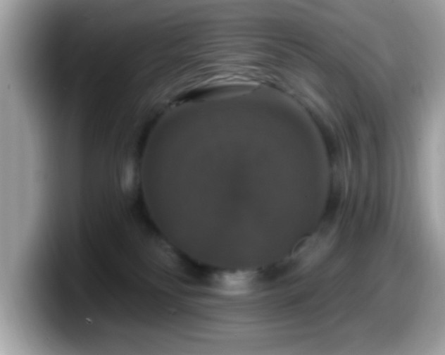X0000099950134200805301243