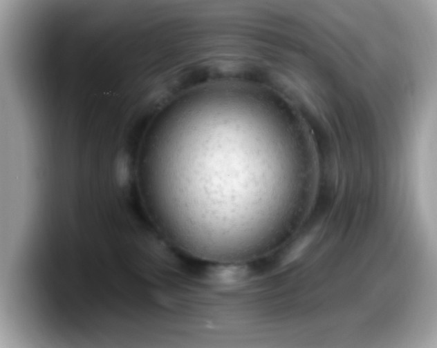 X0000099950135200805301243