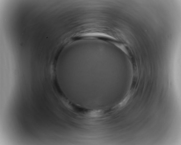 X0000099950136200805301243