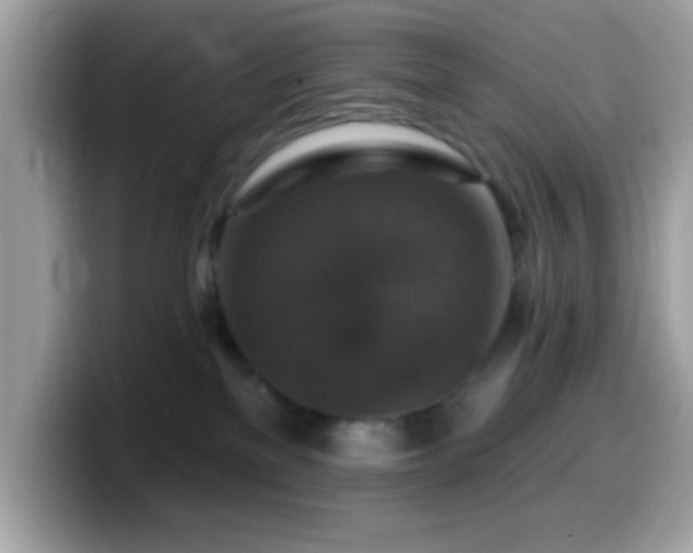 X0000099950137200805301243