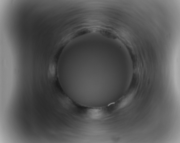 X0000099950139200805301243