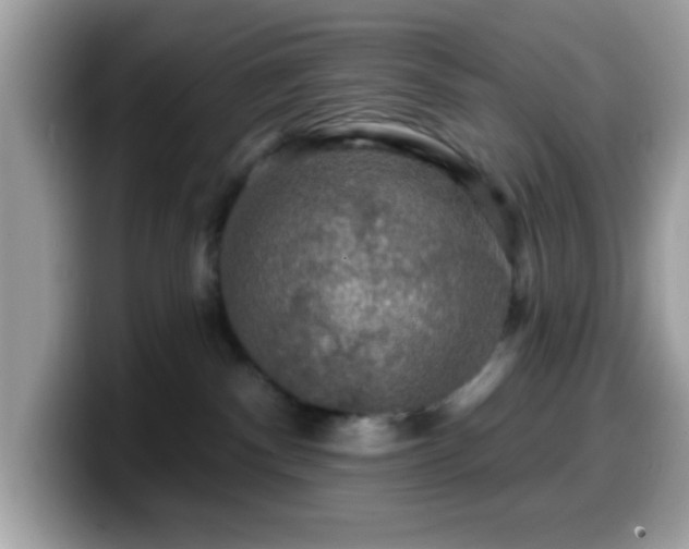 X0000099950140200805301243