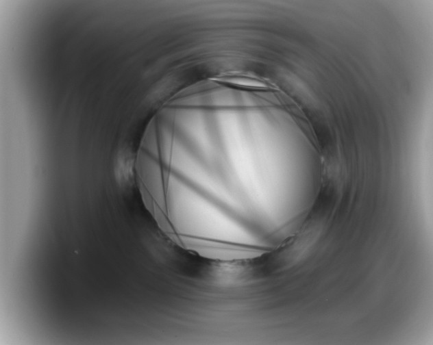 X0000099950141200805301243