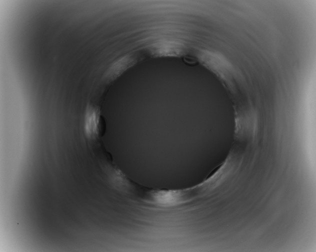 X0000099950142200805301243