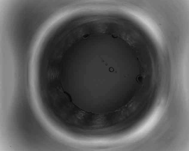 X0000099950143200805301243