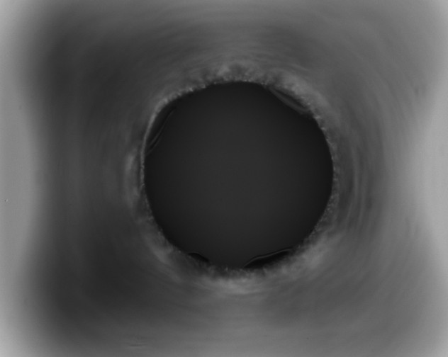 X0000099950144200805301243