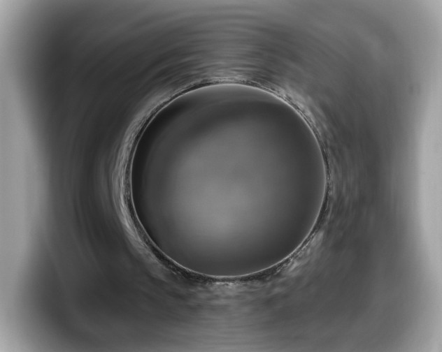 X0000099950145200805301242