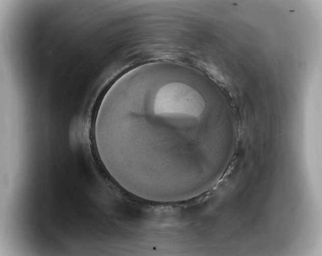 X0000099950146200805301242