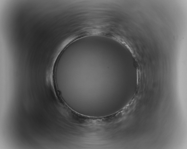 X0000099950147200805301242