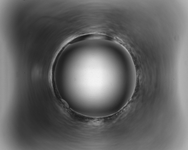 X0000099950148200805301242