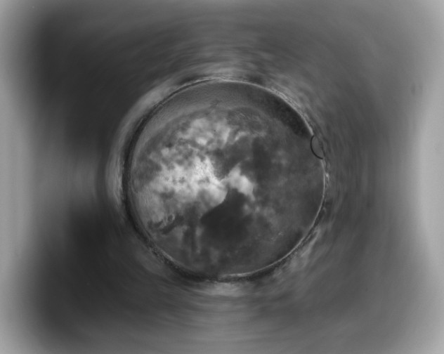 X0000099950149200805301242