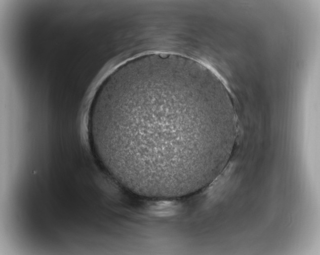 X0000099950151200805301242