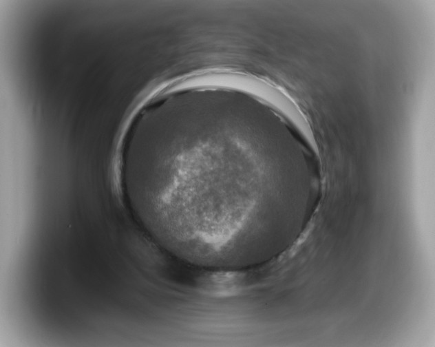 X0000099950152200805301242