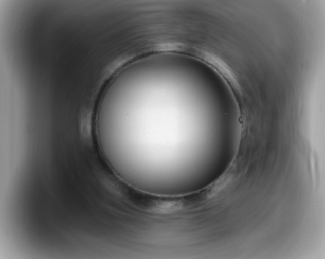 X0000099950155200805301242