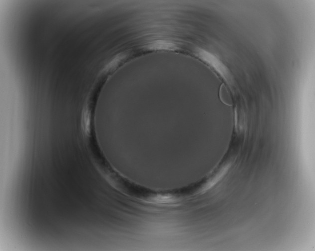 X0000099950157200805301243