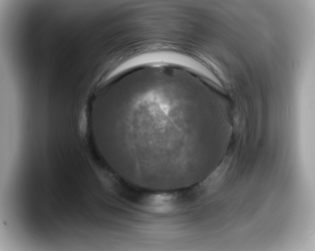 X0000099950158200805301243