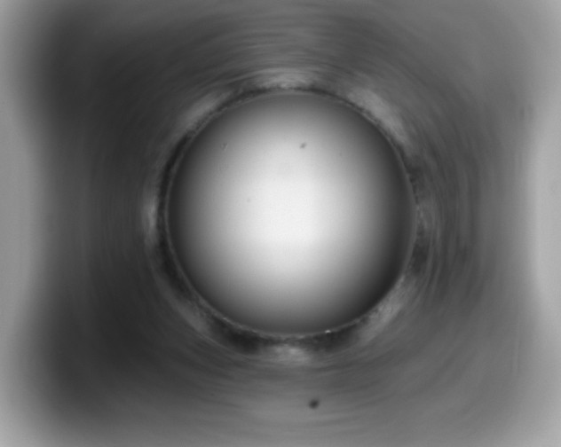 X0000099950159200805301243