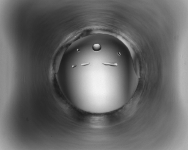 X0000099950160200805301243