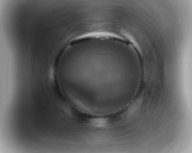 X0000099950161200805301243