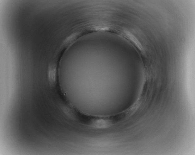 X0000099950163200805301243