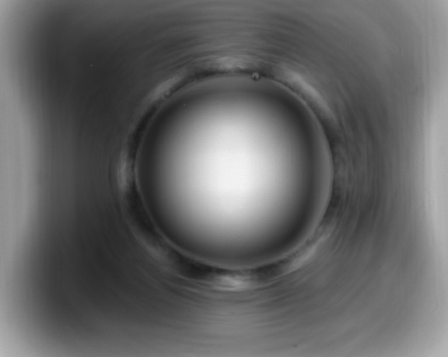 X0000099950164200805301243